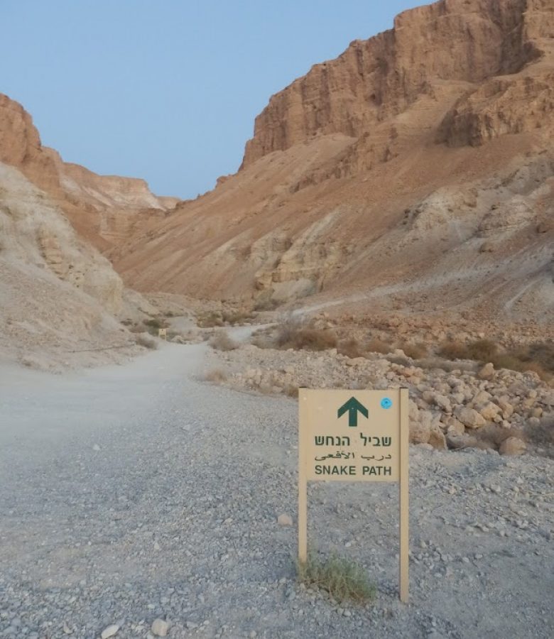 Masada2