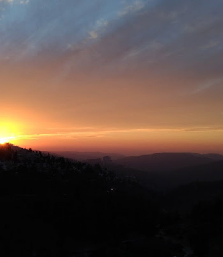 mount Herzl2